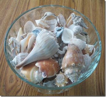 8-2 Shell bowl